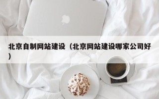 荆州北京自制网站建设（北京网站建设哪家公司好）